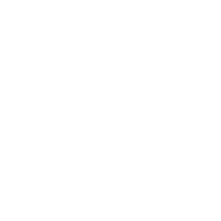 Logo bianco Engenia